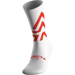 Ichnite Socks